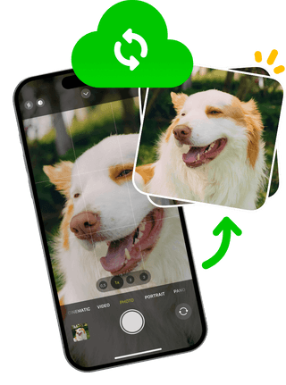 Background sync on Ente Photos