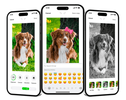 Advanced image editor on Ente Photos